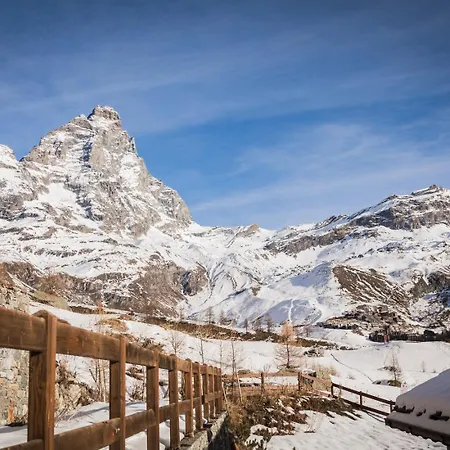 Apartament Maison Carrel Elegant 1 *