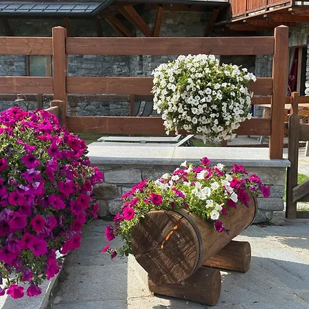 Maison Carrel Elegant 1 Apartament