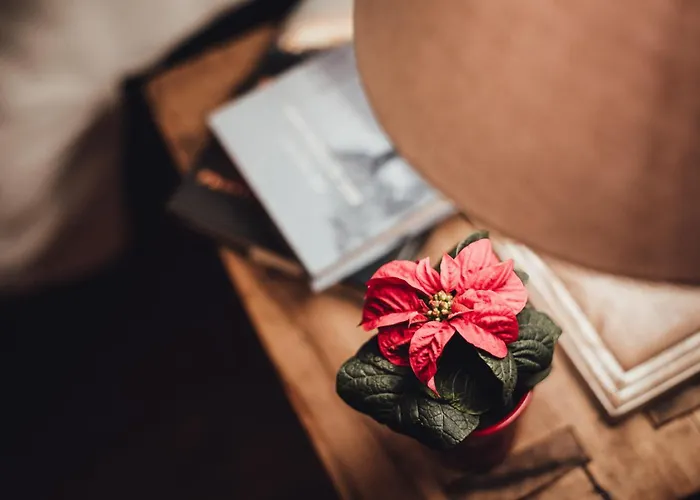 Maison Carrel Elegant 1